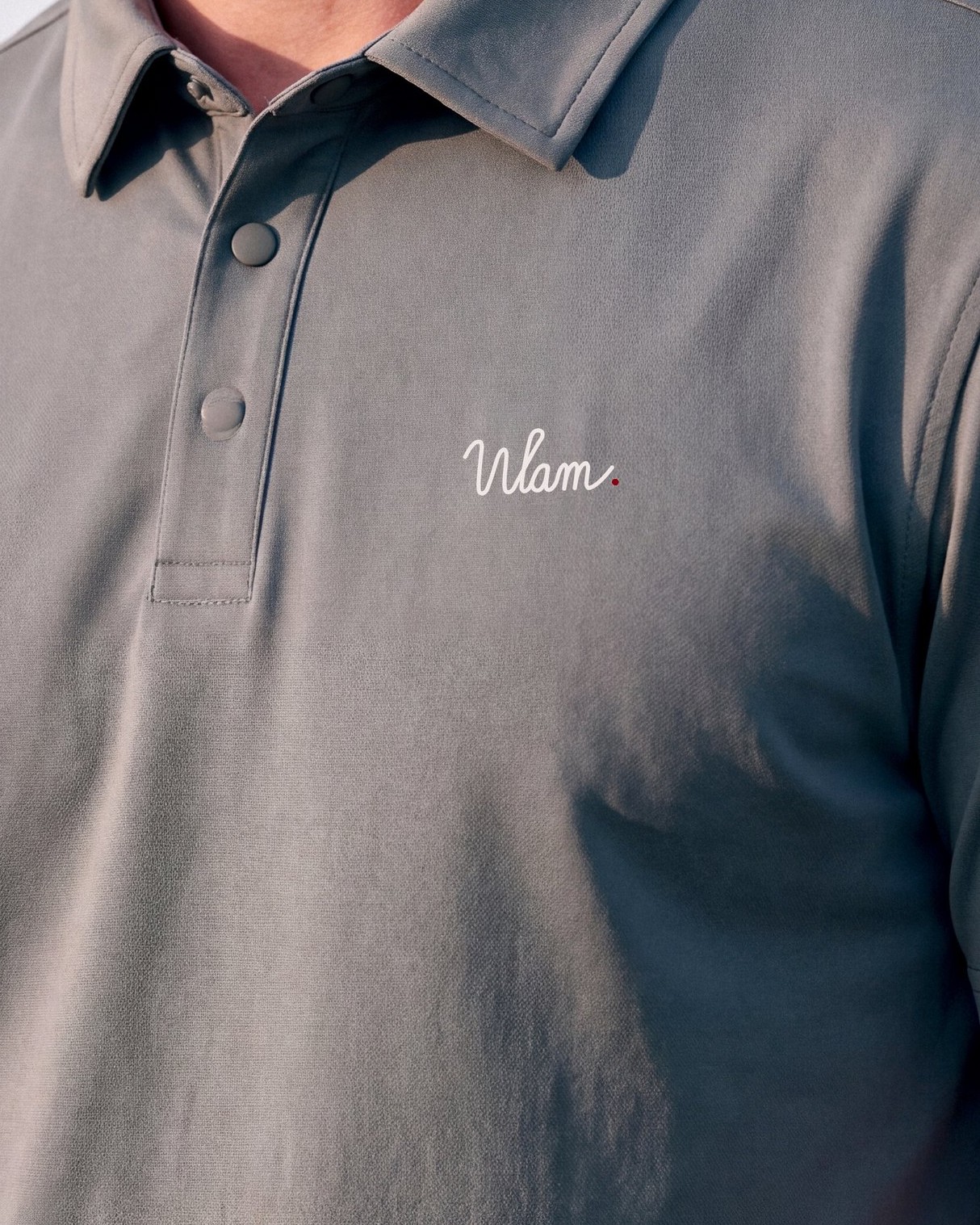 Sage Snap Polo: details