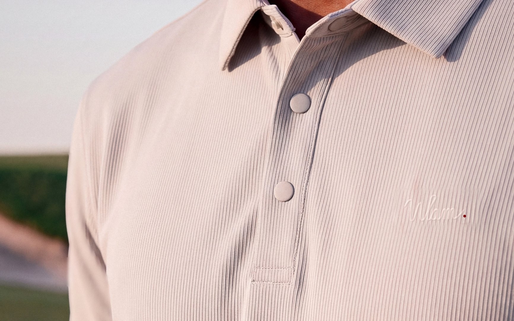 Stone Rib-Knit Polo: details