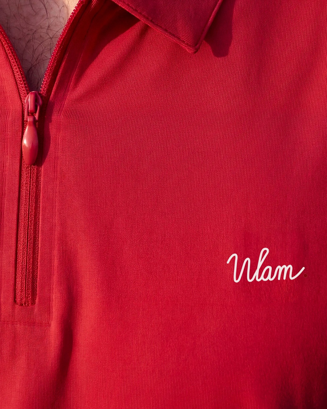 Red Quarter-Zip Polo: details