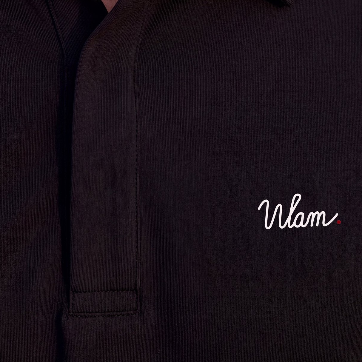 Black Hidden-Placket Polo: details
