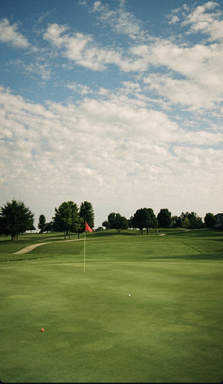 Green and Flag, Tree Line